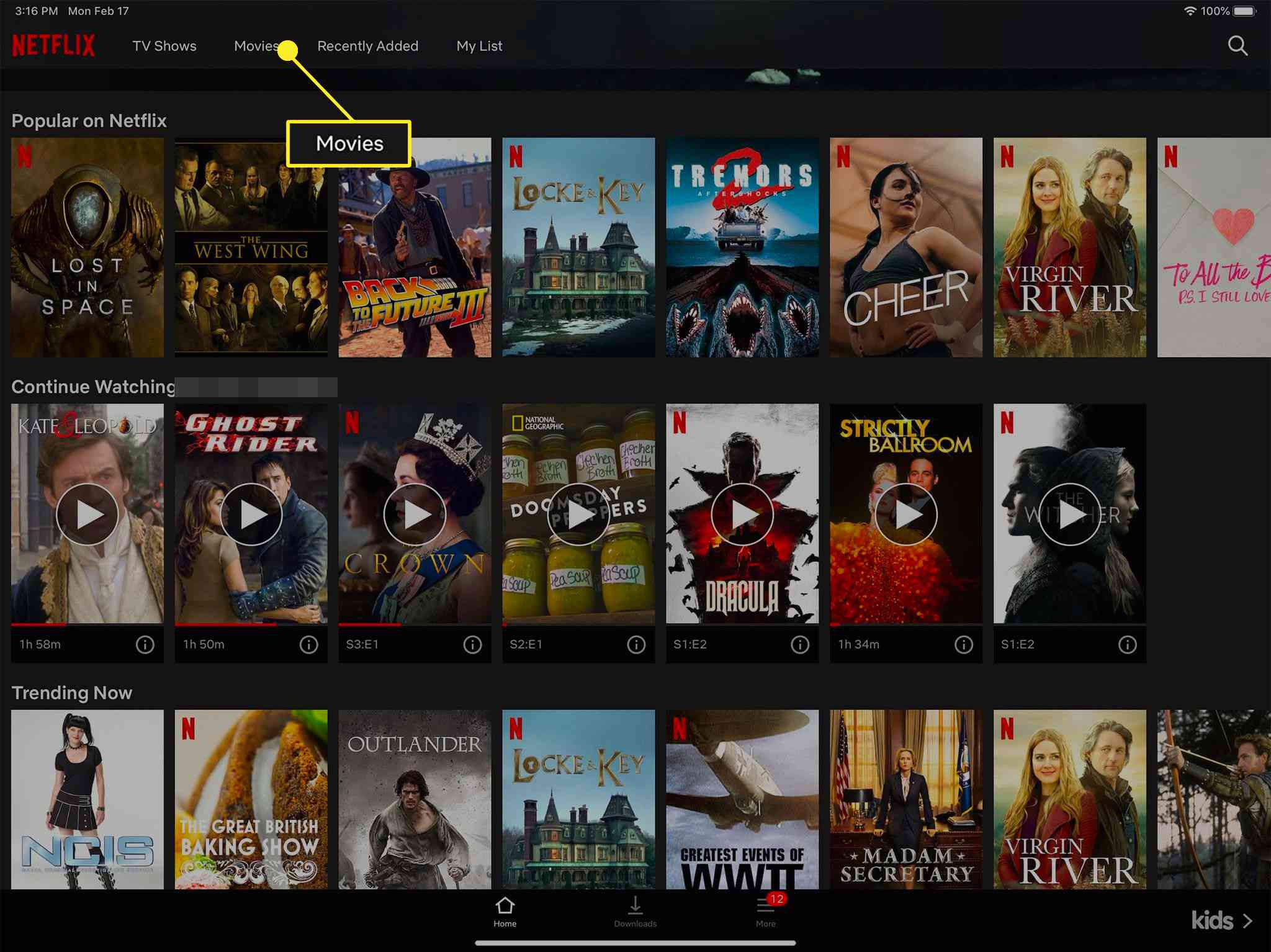 Download Movies On Mac Netflix
